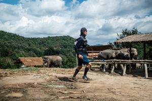 BIB: 
                            <button type="button" onclick="openModal(22423184)" class="btn btn-primary btn-sm float-right btn-popup" data-toggle="modal" data-target=".modal-high-quality">
                        <i class="fas fa-shopping-cart"></i> Add to Cart
                    </button>
                                            <button type="button" onclick="isThisMe(22423184, true)" class="btn btn-success btn-sm float-right btn-popup btn-isme hidden" data-toggle="tooltip" data-placement="bottom" title="นี่คือรูปของคุณใช่ไหม คลิกที่นี่เพื่อเอาเข้าอัลบั้ม">
                        <i class="fas fa-plus"></i> Add to album
                    </button>
                    <button type="button" onclick="isThisMe(22423184, false)" class="btn btn-warning btn-sm float-right btn-popup btn-isnotme hidden">
                        <i class="fas fa-ban"></i> Remove from album
                    </button>